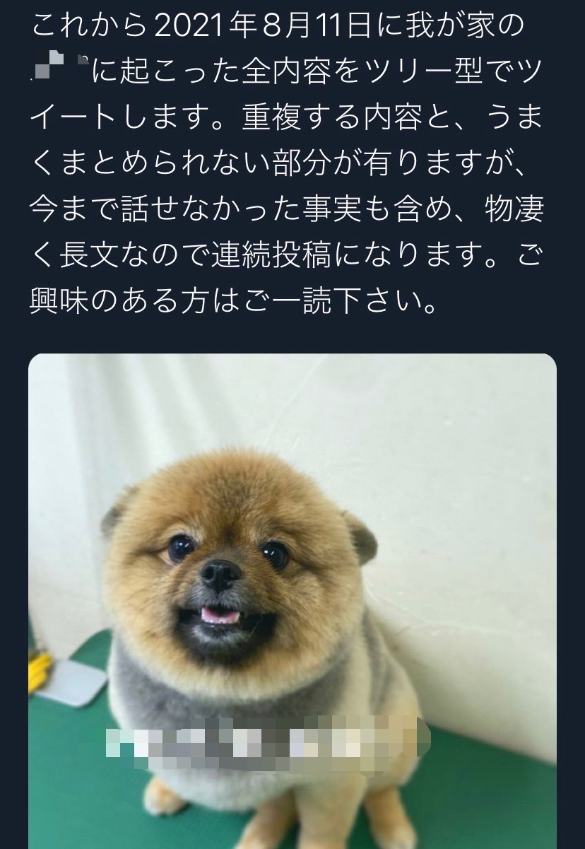 JALの飛行機に預けたペットの犬が死亡する事故したTwitterの投稿